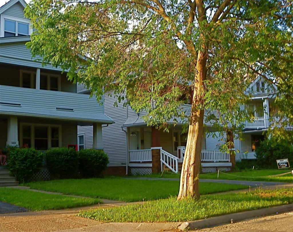 P1010447.jpg