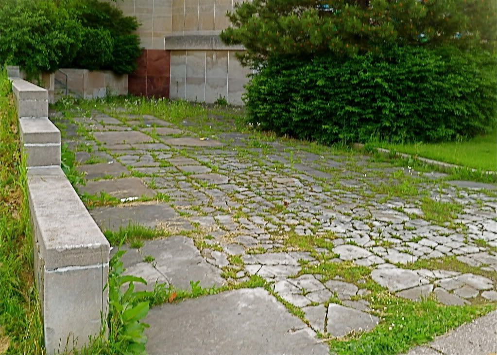 P1010494.jpg