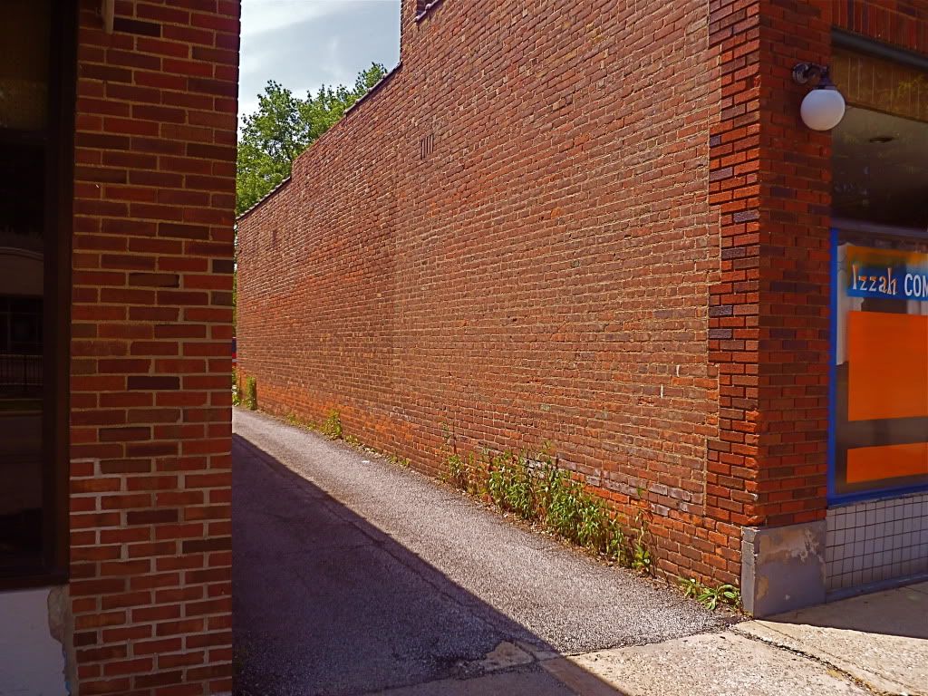P1020326.jpg