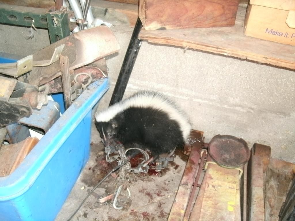 GEDC2940.jpg