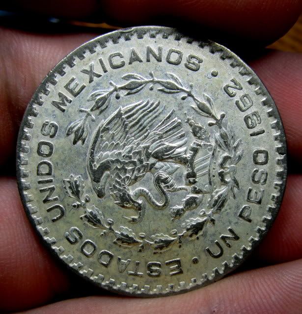 Tarn X Xperiment. Coin Talk