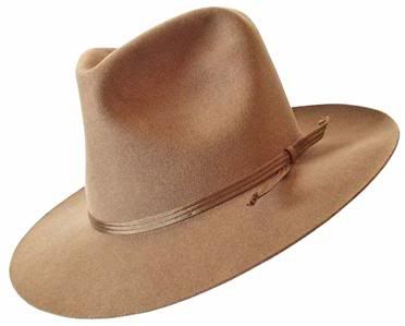 IndyFedora01.jpg