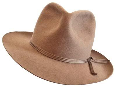 IndyFedora02.jpg