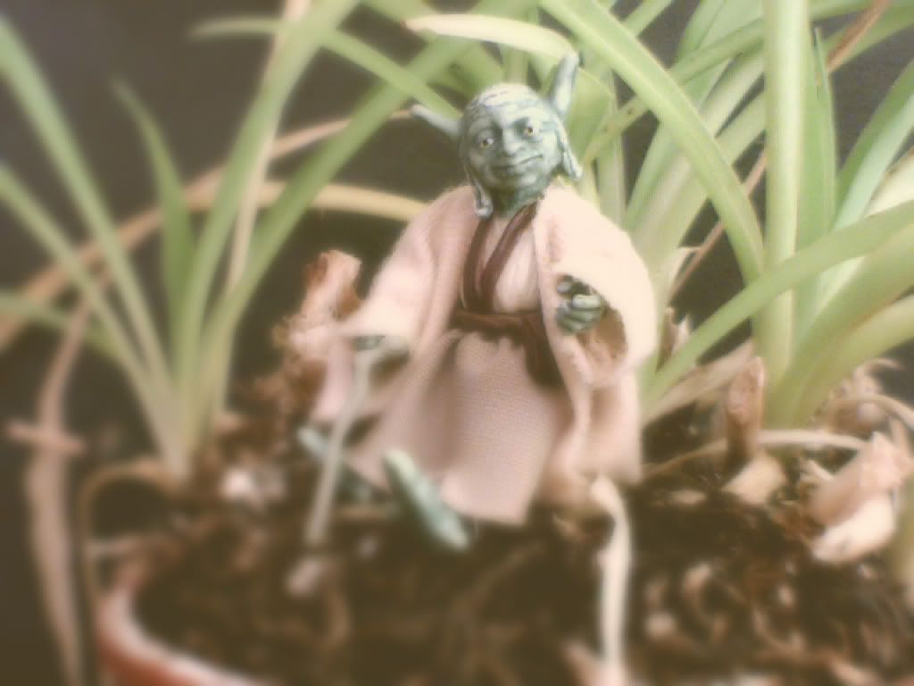 YodaConceptFX.jpg