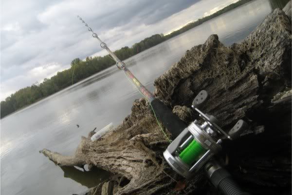 Shakespeare Saltwater Fishing Rods - TackleDirect sells Shakespeare Saltwater  Ugly Stik Fishing Rods. The extremely popular Ugly Stik fishing rods have played  a large role in Shakespeare Fishing Tackle's. Rate and review this item.