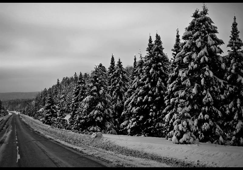 Winter Road Pictures, Images and Photos