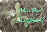 Miss Beas-Scrapbook