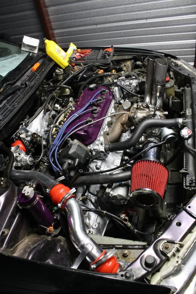 [Image: IMG_0243.jpg]