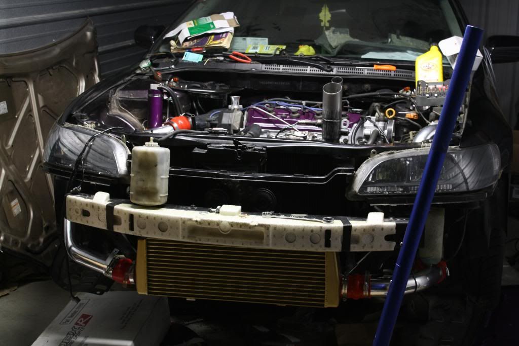 [Image: IMG_0244.jpg]