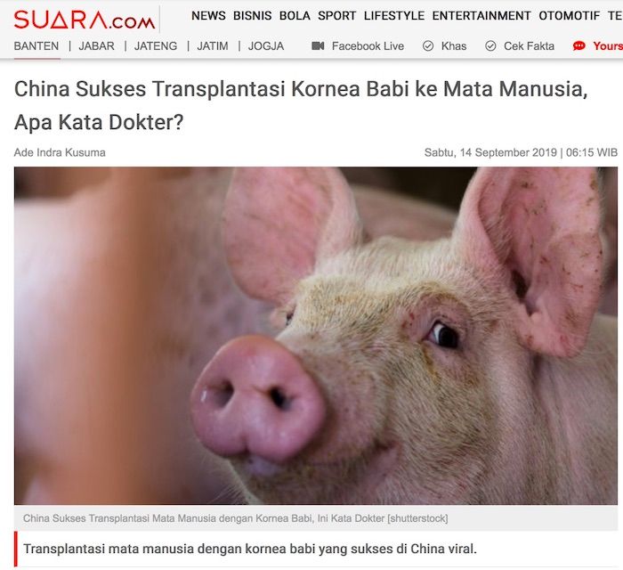 KOSHER PIG Untuk Pakaian dan Kesehatan SarapanPagi Biblika Ministry