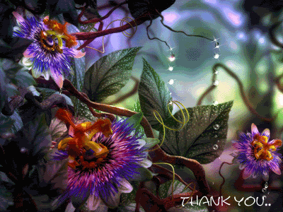 thank-you-8.gif
